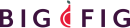 Big Fig logo