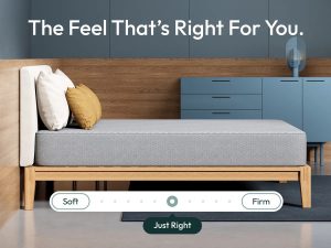 Siena Signature 10″ Memory Foam