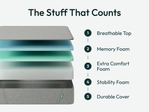 Siena Signature 12″ Memory Foam