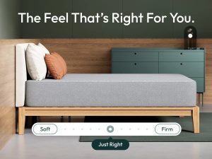 Siena Signature 12″ Memory Foam